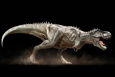 Fonds D'écran T Rex : Tous Les Wallpapers T Rex