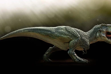 Wallpapers T Rex   Wallpapers Cave