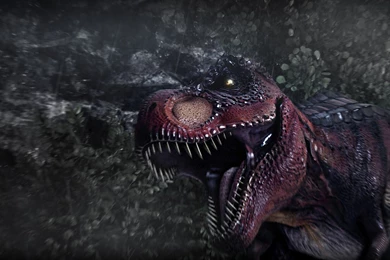 Wallpapers T Rex Doodle On Doodle Inspiration