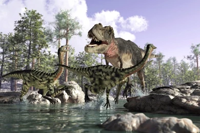 Mural Attack Of The T Rex Mural 3D Wallpapers For Child Bedroom in ...