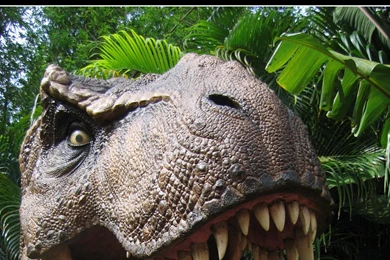 Tyrannosaurus Rex Dinosaurs Wallpapers (