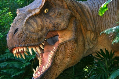 Wallpapers Dinosaur, T rex, Park, Face, Teeth Wallpapers Animals ...