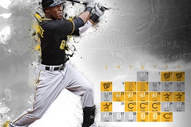Pittsburgh Sports Wallpapers