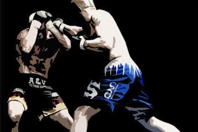 CHUCK LIDDELL Graphics And Comments