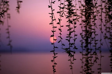 Beautiful Sunset HD Desktop Wallpapers : High Definition ...