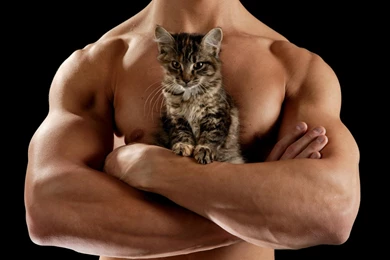 Hot Guys With Cats — Two Obsessions In One