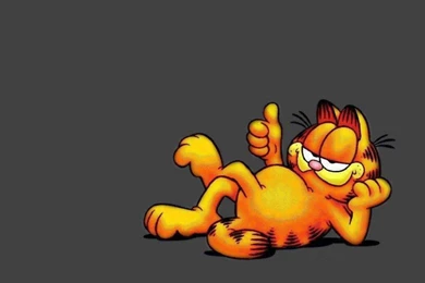 9 Garfield HD Wallpapers