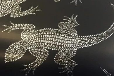 Video – Osborne & Little, Wallpapers – Komodo Collection