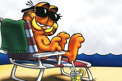 Garfield Relaxing Cartoon Wallpapers