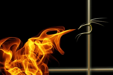 Wallpapers To Go 2015 Grasscloth Wallpapers