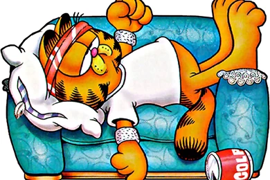 Garfield Sleeping Hd Wallpapers