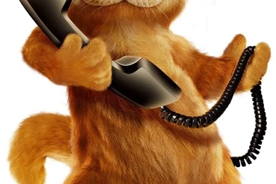 Free Garfield iPhone 6 Plus Wallpapers 16750   Cartoons iPhone 6 ...