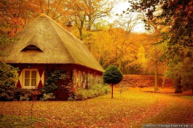 Autumn Scenes Wallpapers 2   Seasonal   Crazy Frankenstein