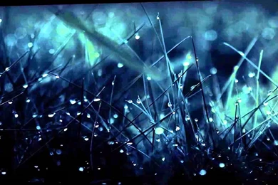 Top 5 Wallpapers For Desktop   YouTube