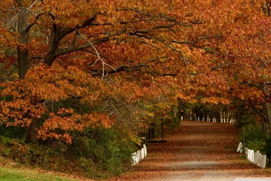 Autumn Scenes 19 HD Desktop Wallpapers : Widescreen : High ...