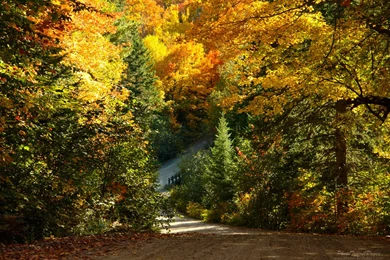 Fall Scenes Wallpapers   HD Wallpapers And Pictures