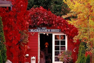 Fall Colors   Amazing Autumn Scene Wallpapers 5   Wallcoo.net