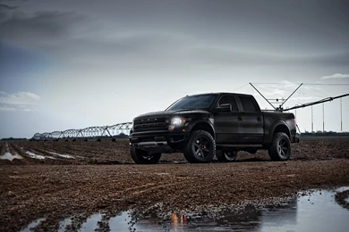 Custom Ford F 150 Raptor   Image