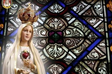 Top Wallpapers To Go Free Wallpapers