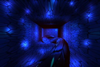 Free Wallpapers For Phone   Uwallo