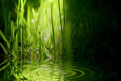 Hd Wallpapers For Phones: Free Wallpapers For My Cell Phon