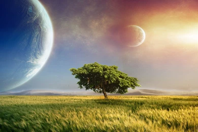 Artistic Wallpaper Backgrounds