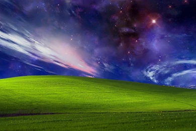 Barstool Styles Trends