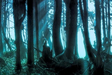 Halloween Pacific Forests Scary Wallpapers