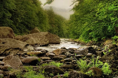 Nature River Wallpapers HD 1366x768