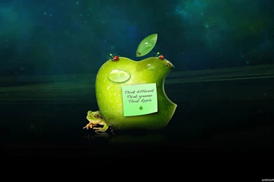Download Apple wallpaper 1366x768 008 1366 X 768 Wallpapers ...