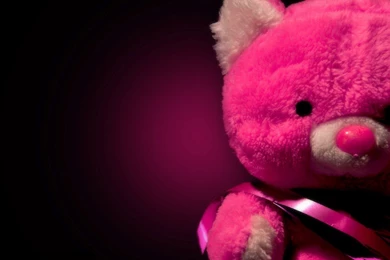 Cute Pink Teddy Bear Wallpapers For Desktop – Valentine Week 2016