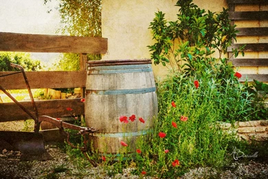 Anthony Bianciella   Lifestyle Photographer   Wallpapers