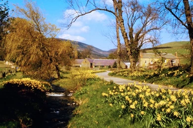 Free Spring Country Landscape Wallpapers