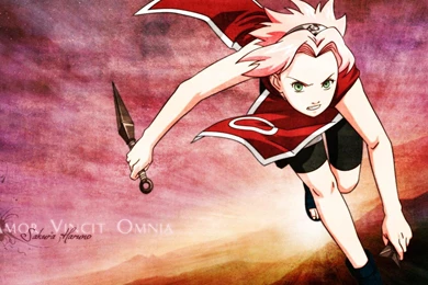 Sakura Haruno Wallpapers   (