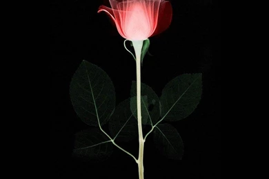 Imvu Backgrounds Wallpapers Cave