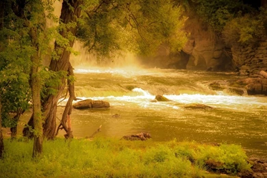 1280x720 Forest River Hd Wallpapers