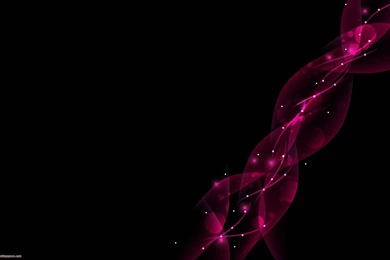 Black And Pink Wallpapers Borders 12 High Resolution Wallpapers ...