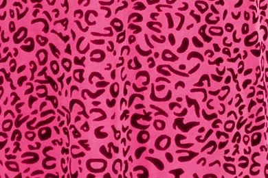 Wallpapers Black And Pink Cell Phone Of 1024x1024