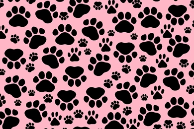 Black And Pink Wallpapers Iphone – Wallpapers