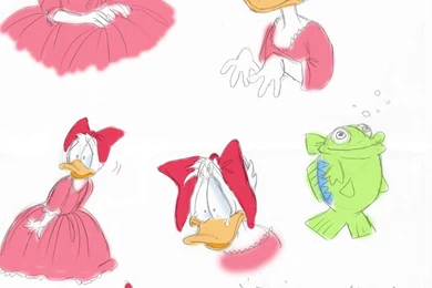 Daisy Picture, Daisy Wallpapers