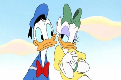 Image   Donald Duck and Daisy Wallpaper donald duck 6615837 1024 ...