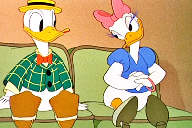 Baby Donald Duck And Daisy Duck Donald Duck Wallpapers 35