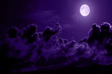 NIGHT IN PURPLE WALLPAPER   (