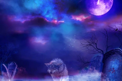Dogs: Wolf Night Cemetery Blue Dark Dog Manipulation Animal Purple ...