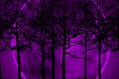 Pink & Purple For Da Ladies Enjoy And Reshare