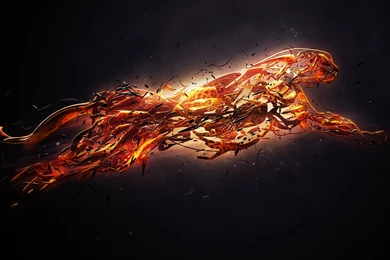 Abstraction 3D Graphics Fe Wallpapers