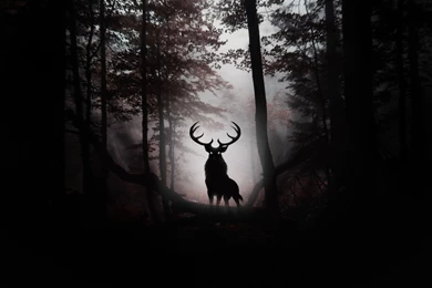 HD Dark Wallpapers And Photos