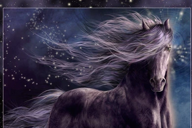 Horse Wallpapers & Pictures