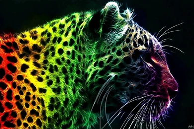 Neon Leopard Wallpapers