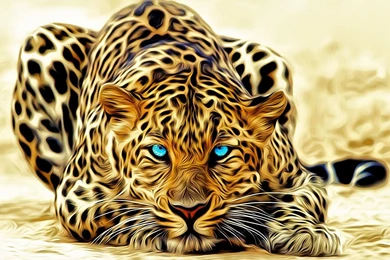 Top New Leopard Wallpapers Iphone Wallpapers